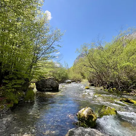 Nature *